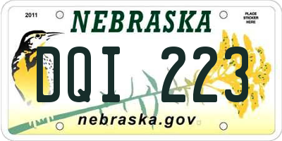 NE license plate DQI223