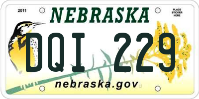 NE license plate DQI229