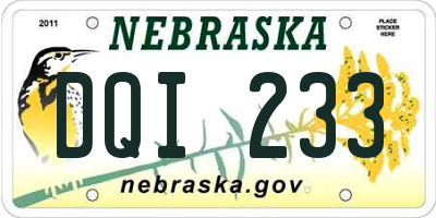 NE license plate DQI233