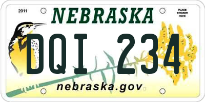 NE license plate DQI234