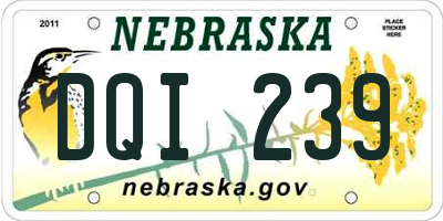 NE license plate DQI239