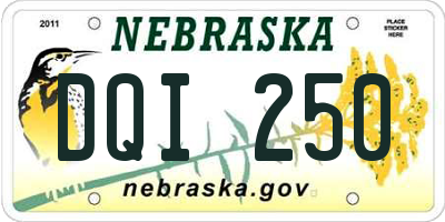NE license plate DQI250