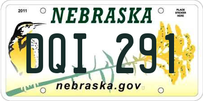 NE license plate DQI291