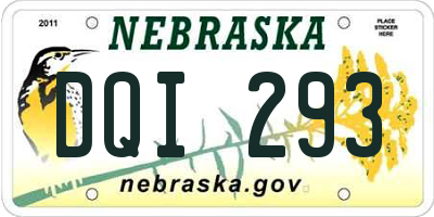 NE license plate DQI293