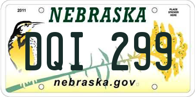 NE license plate DQI299