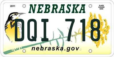NE license plate DQI718