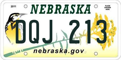 NE license plate DQJ213