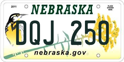 NE license plate DQJ250