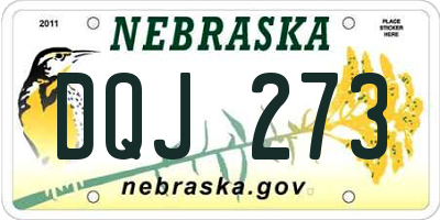 NE license plate DQJ273