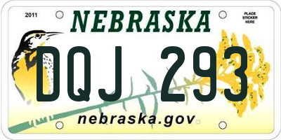 NE license plate DQJ293