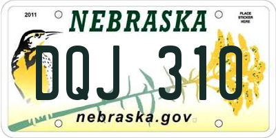 NE license plate DQJ310