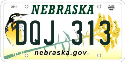 NE license plate DQJ313