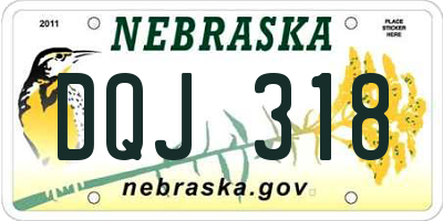 NE license plate DQJ318