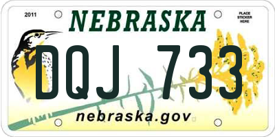 NE license plate DQJ733