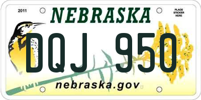 NE license plate DQJ950