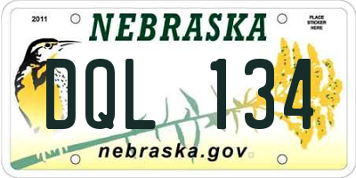 NE license plate DQL134