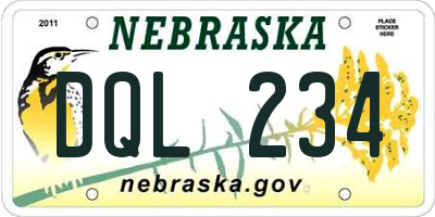 NE license plate DQL234