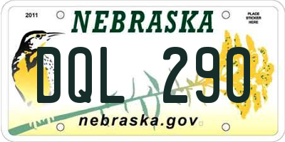 NE license plate DQL290