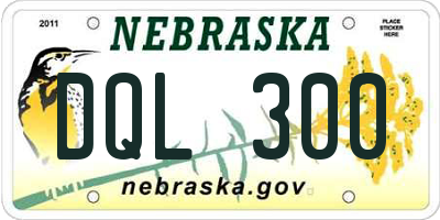 NE license plate DQL300