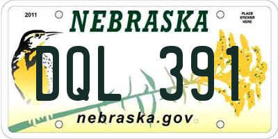 NE license plate DQL391