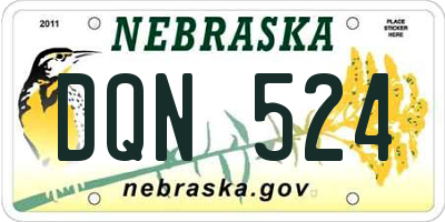 NE license plate DQN524