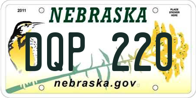 NE license plate DQP220