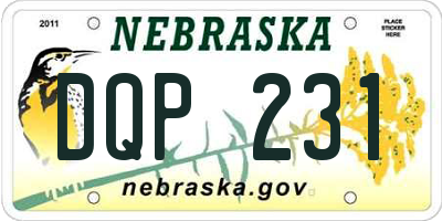 NE license plate DQP231