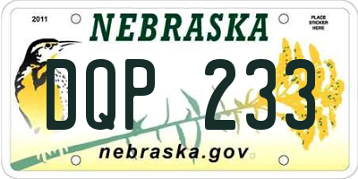 NE license plate DQP233