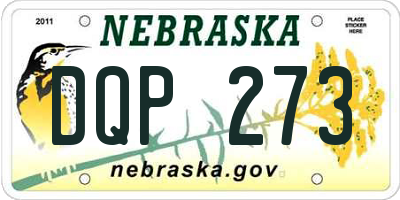 NE license plate DQP273
