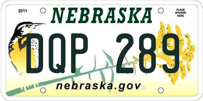 NE license plate DQP289