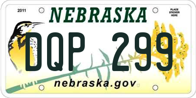 NE license plate DQP299