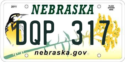 NE license plate DQP317