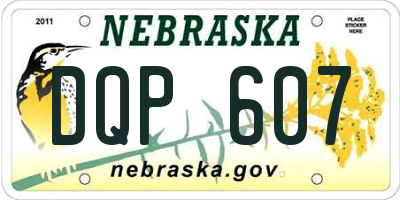 NE license plate DQP607