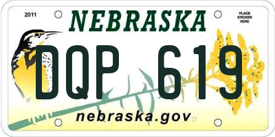 NE license plate DQP619
