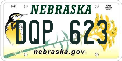 NE license plate DQP623
