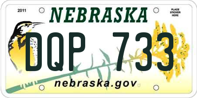 NE license plate DQP733