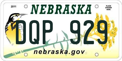 NE license plate DQP929