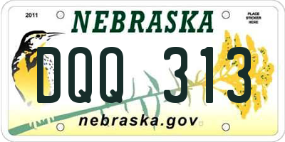 NE license plate DQQ313