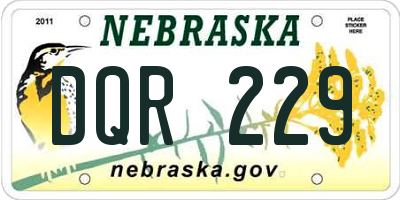NE license plate DQR229