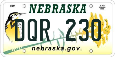 NE license plate DQR230