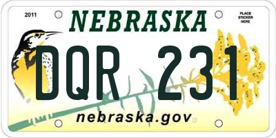 NE license plate DQR231