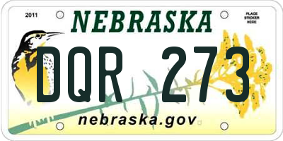 NE license plate DQR273
