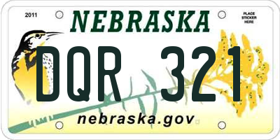 NE license plate DQR321