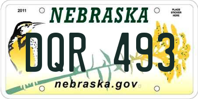 NE license plate DQR493