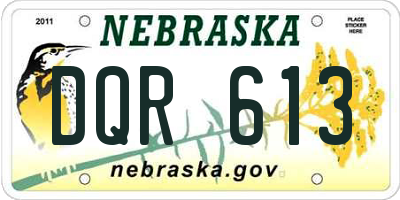 NE license plate DQR613