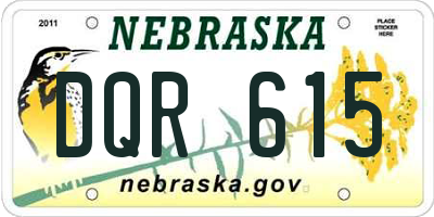 NE license plate DQR615