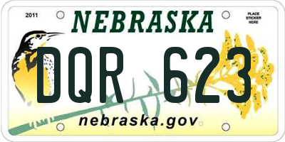 NE license plate DQR623