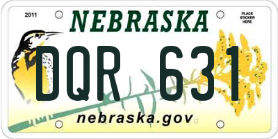 NE license plate DQR631