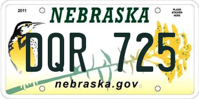 NE license plate DQR725