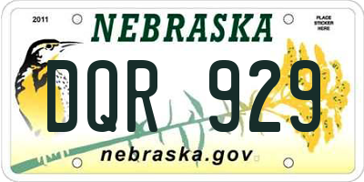 NE license plate DQR929